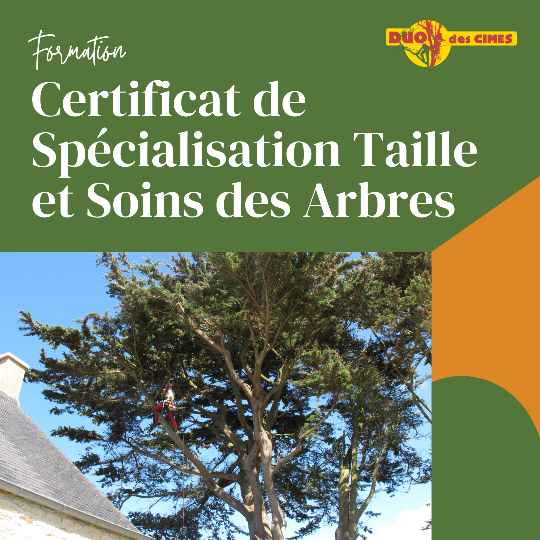 élagage formation certificat de spécialisation taille et soins des arbres bretagne plabennec